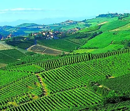 Classico 3* Barolo