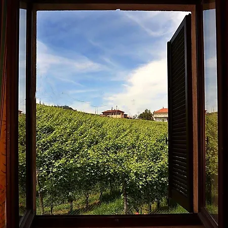 Classico Barolo